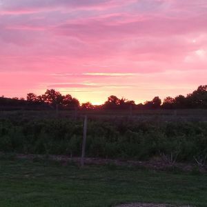 Meet your Posher, Jon-lawrence